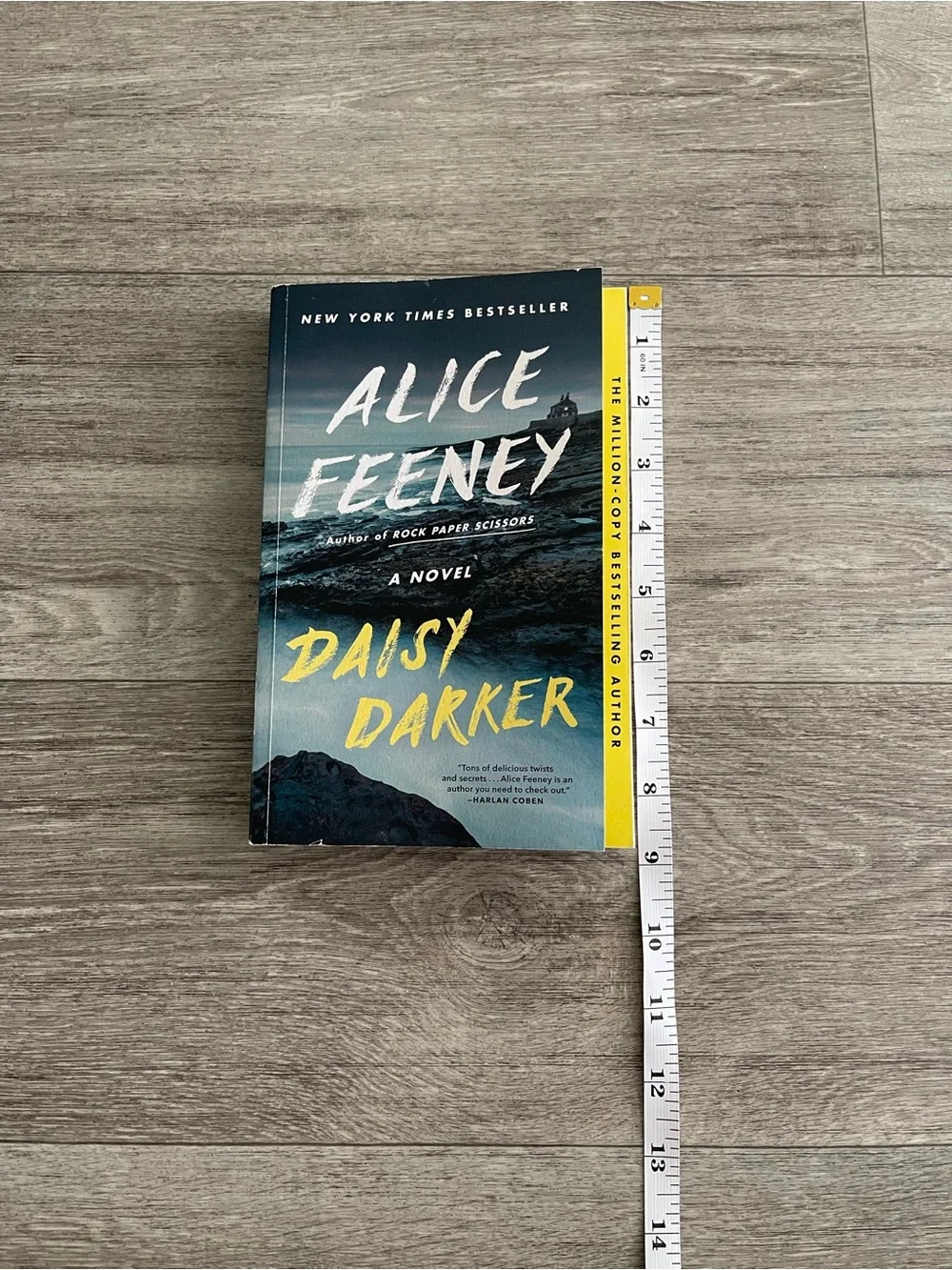 Daisy Darker by Alice Feeney